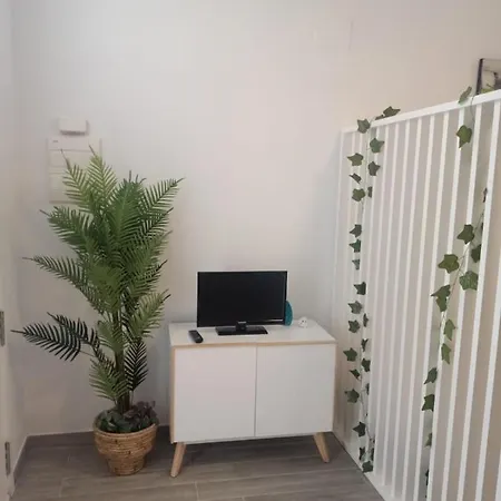 Estudio 28 Febrero
